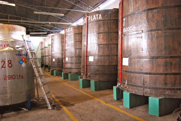 Destilera Ro de Plata es la Fabrica de Tequila ms antiga de Guadalajara, operando desde 1943 Calle Ro Tuito 1193 cruce con Ro Autln, Col Atlas Tel (0133) 5000 5224
